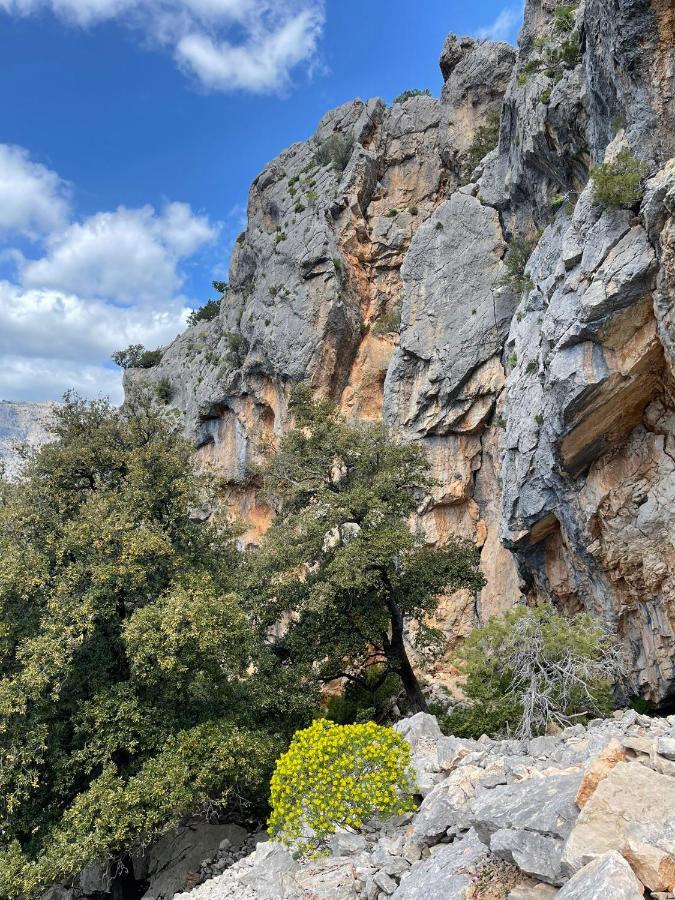 Casa Vacanze Sa Piazza Apartment Dorgali Luaran gambar